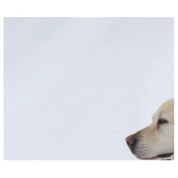 PHOTO84, CLUB, 84 , LUBERON